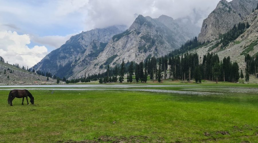 Mahudand Swat Holiday