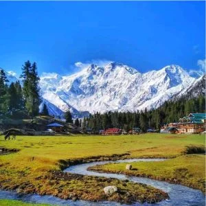 Hunza Fairy Meadows Trek