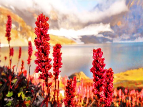 Travel to Azad Kashmir