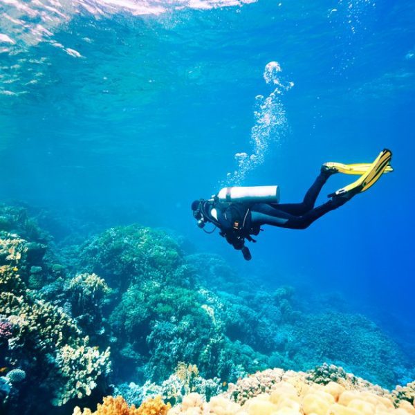 Charna Island Trip Package