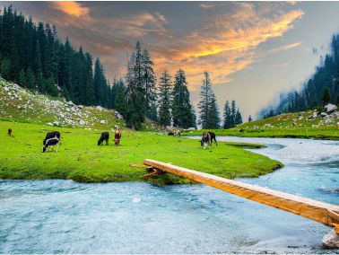 Kumrat Valley Tour Packages from Lahore Karachi Islamabad