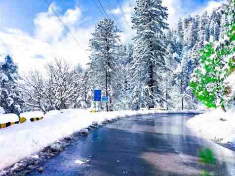 Murree Tour from Lahore