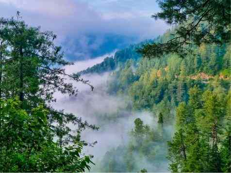 nathia gali murree couple tour package