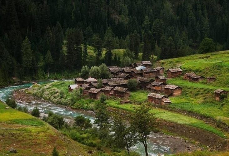 Minimarg Minimarg