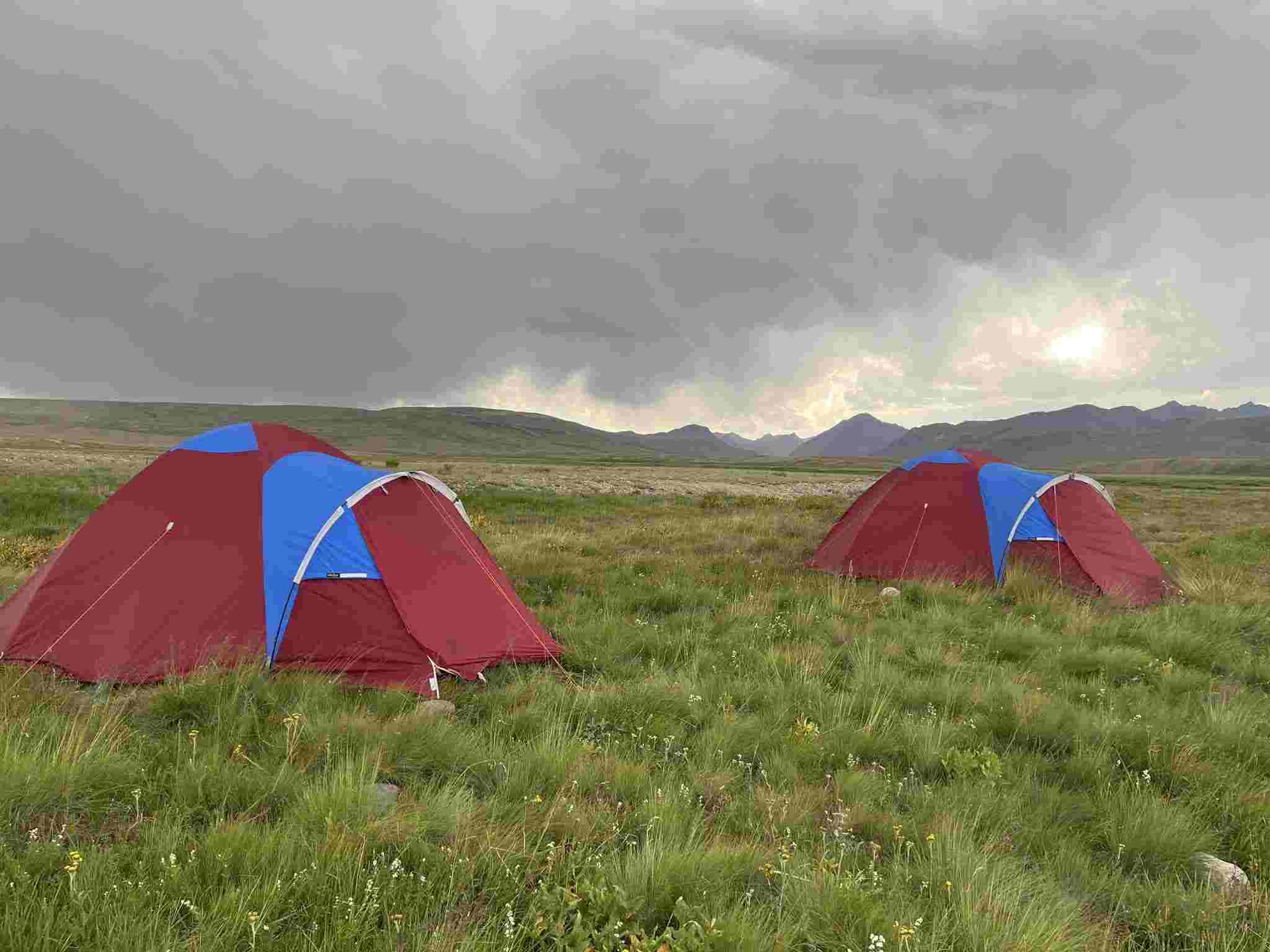 Naltar Valley Campsite Naltar Valley Campsite