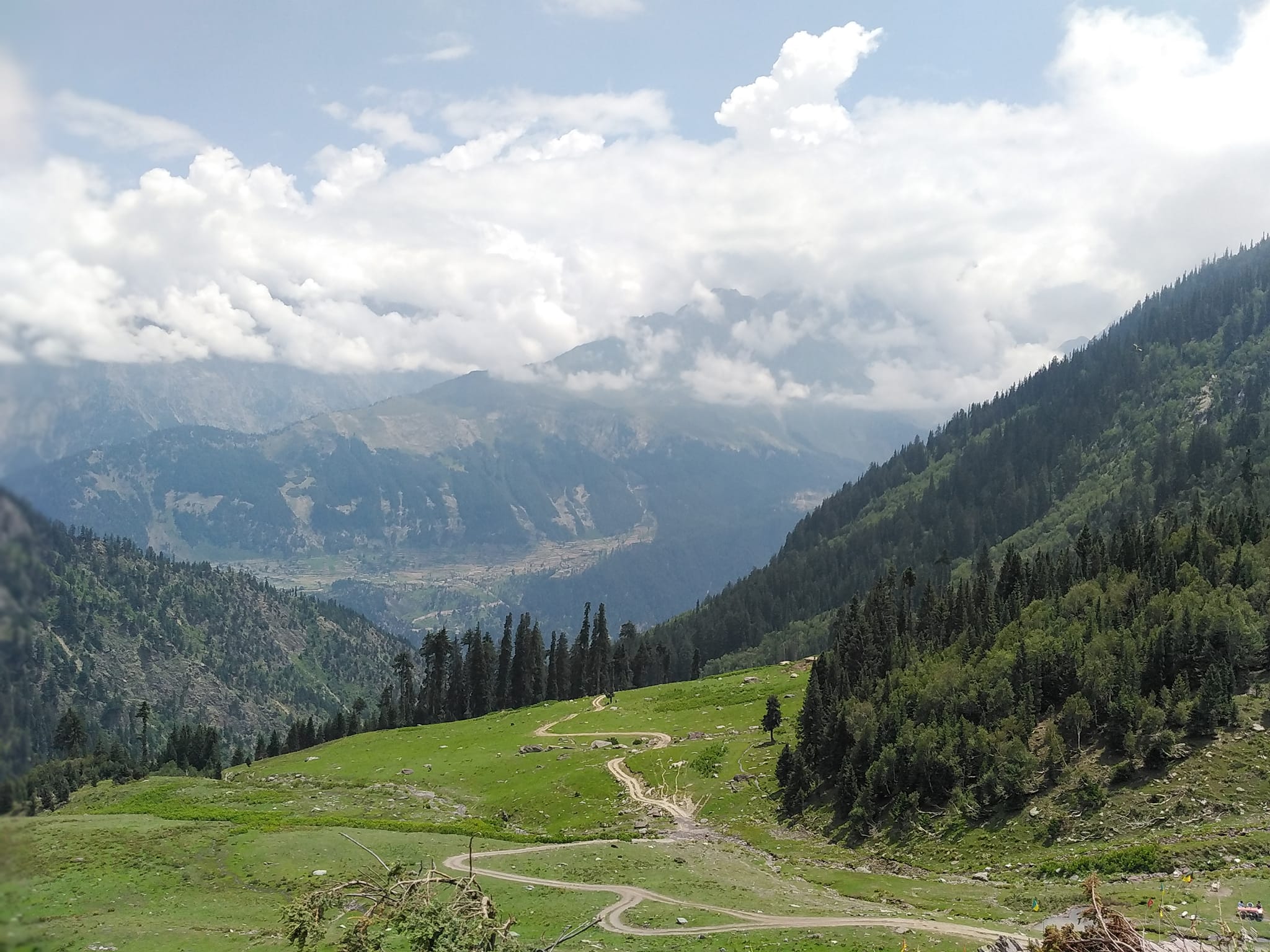 Desan Meadows Swat