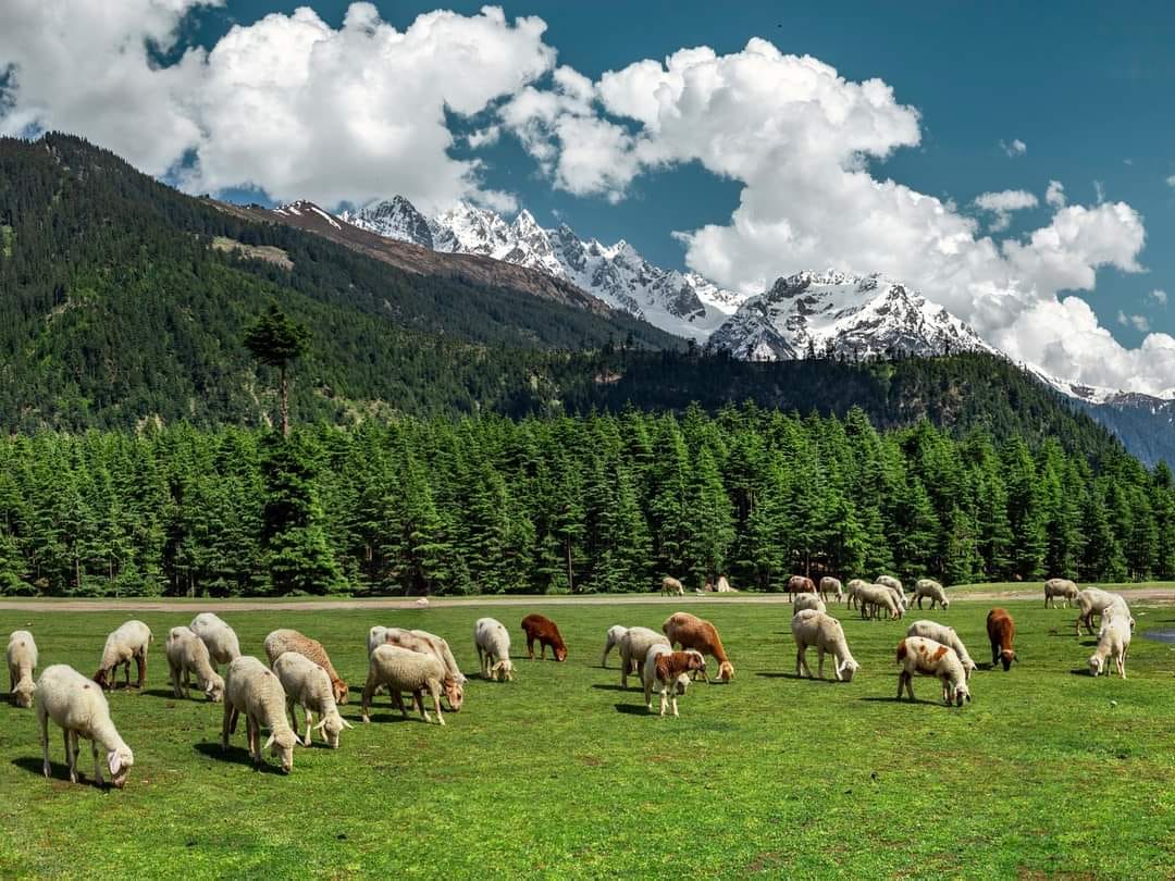 Shahi Ground Kalam Valley