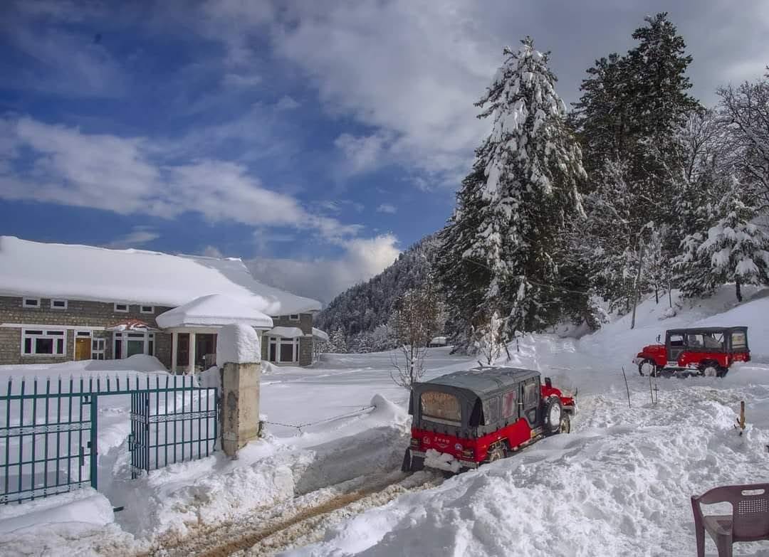 Shogran Meadows