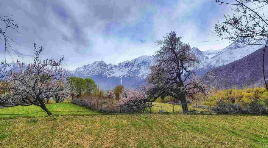 Chunda Valley Skardu