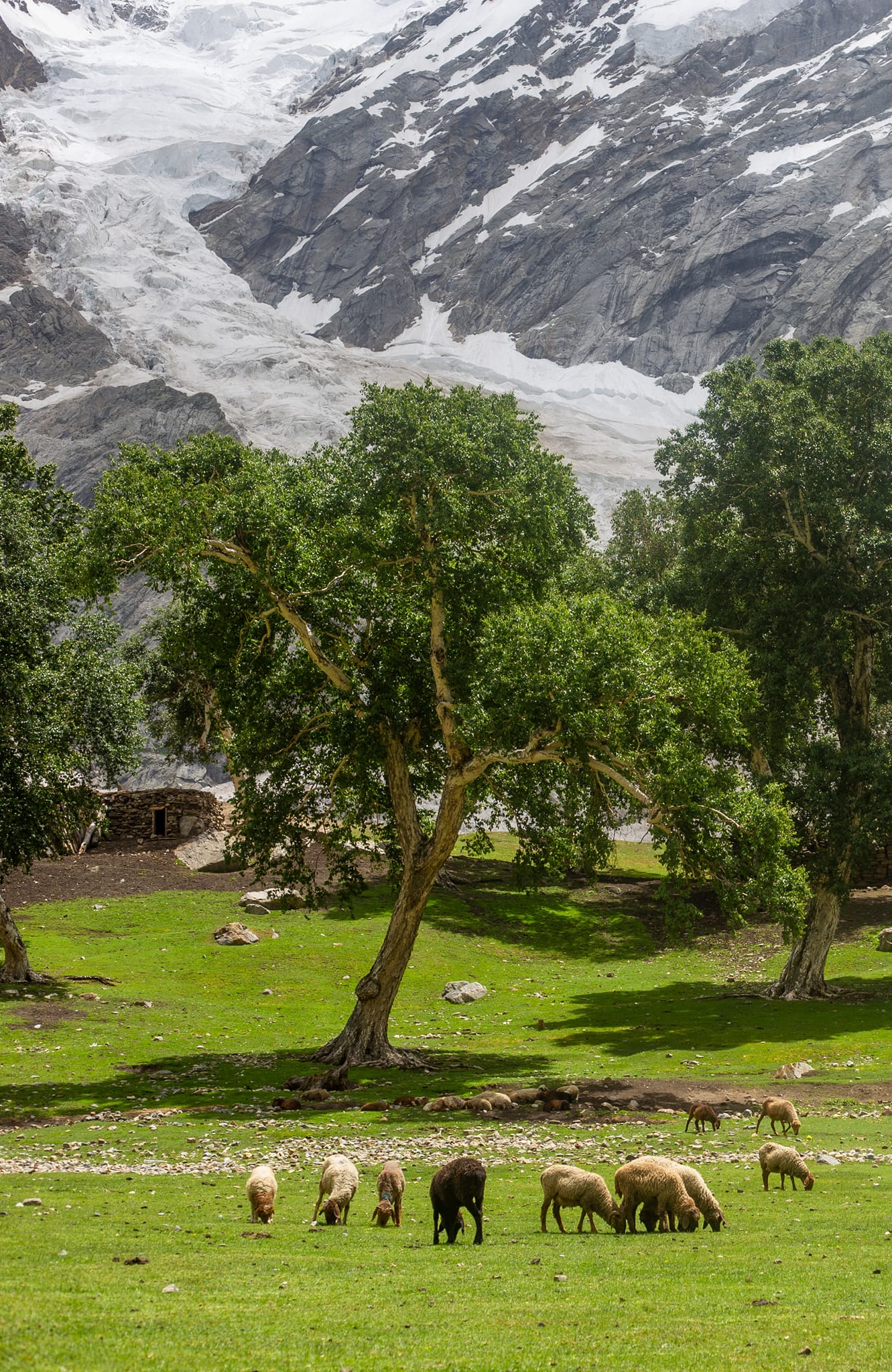 Haramosh Valley Skardu