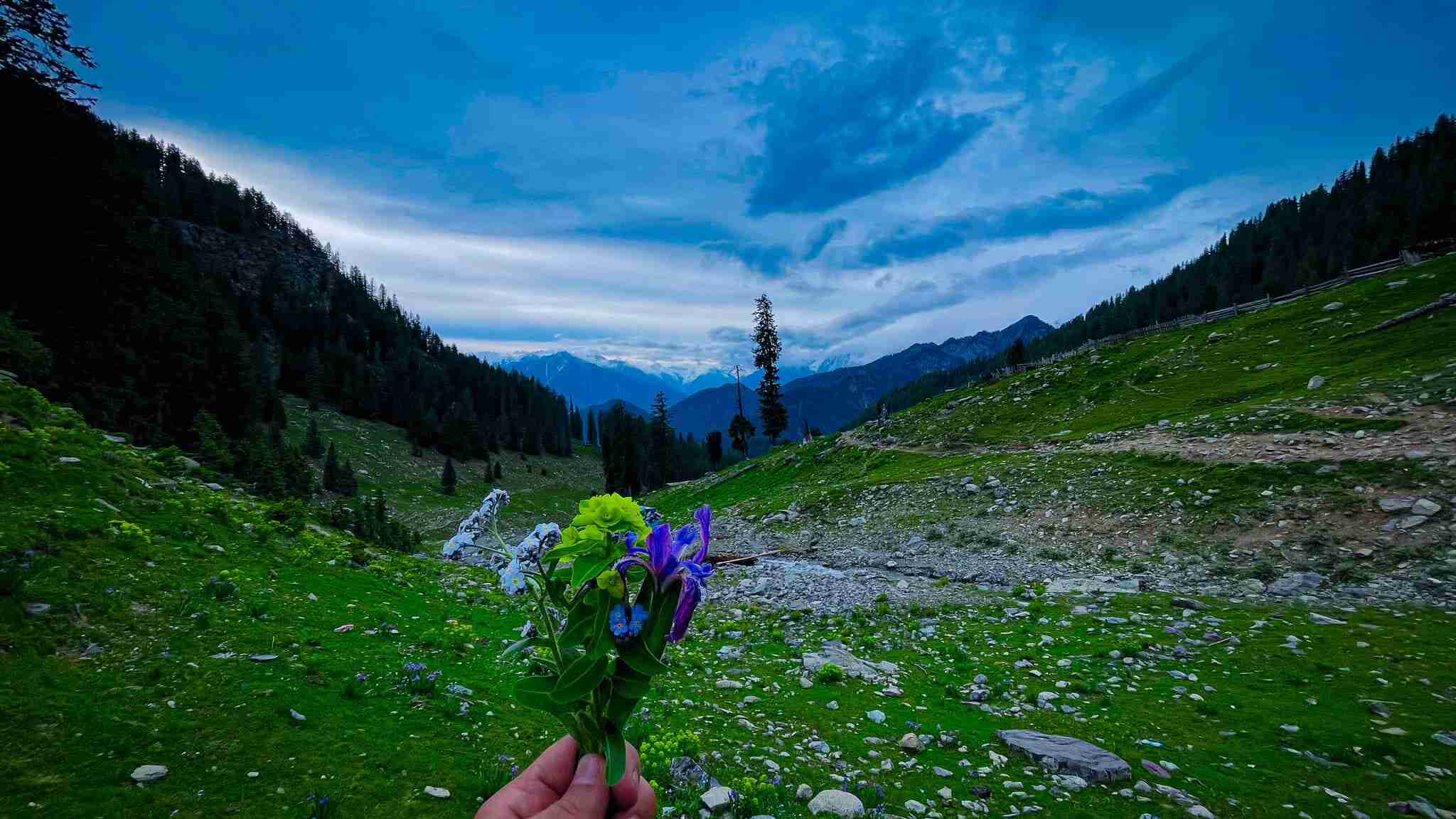 Jahaz Banda Meadows