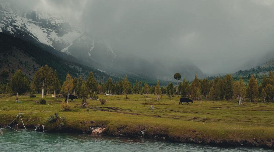Bashu Valley Skardu