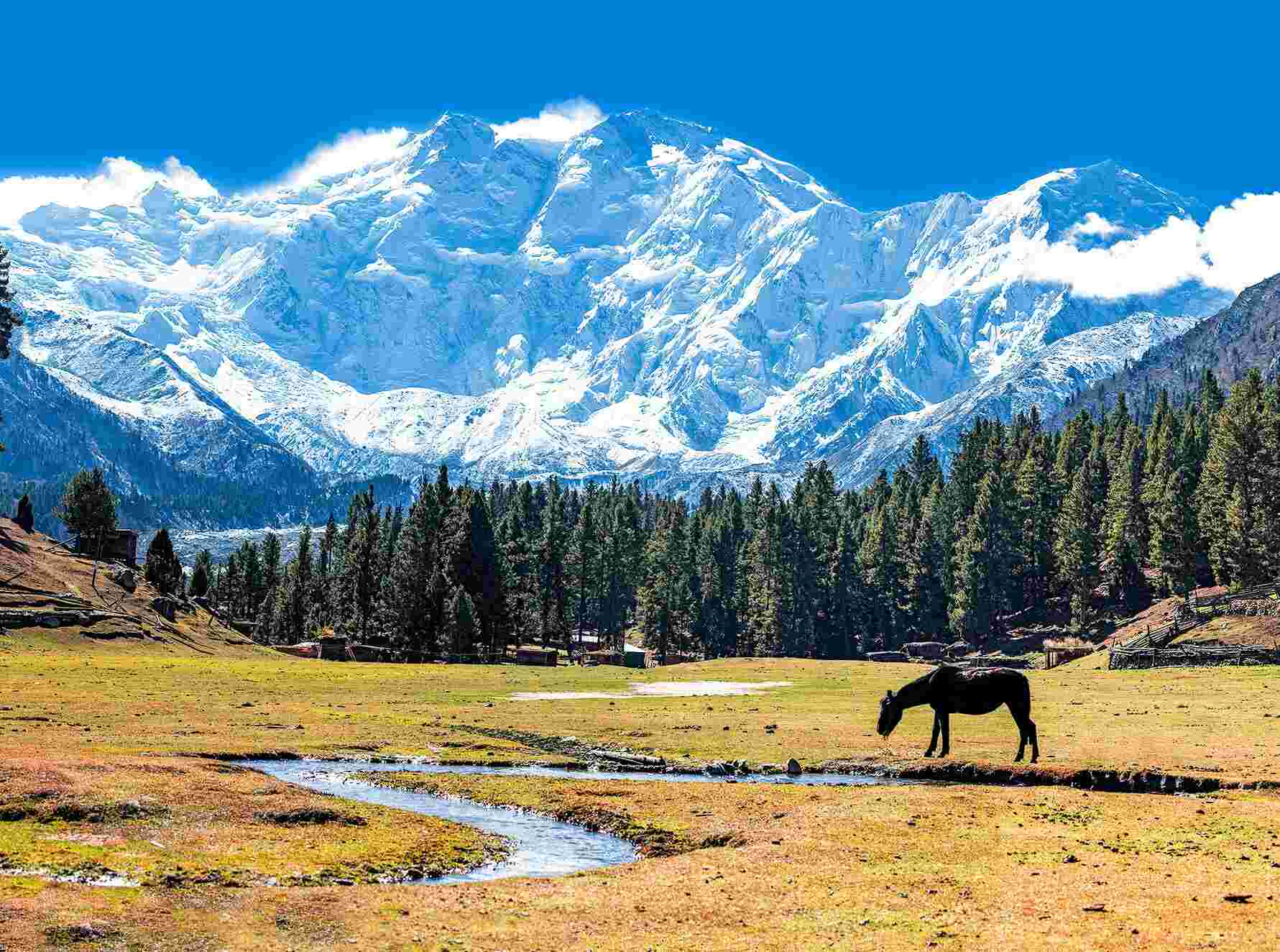 Fairy Meadows Pakistan