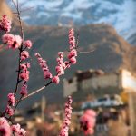 Places to visit in Hunza Valley