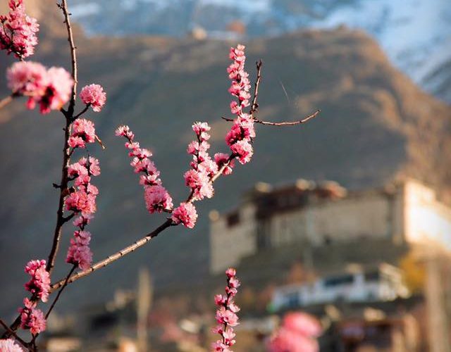 Places to visit in Hunza Valley