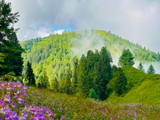 Miranjani Peak Miranjani Peak