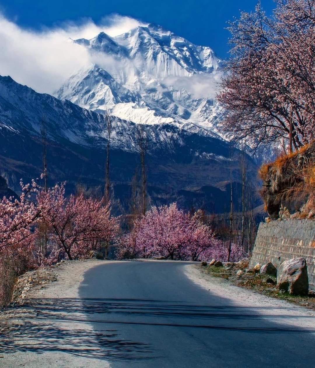 Nagar Valley Pakistan