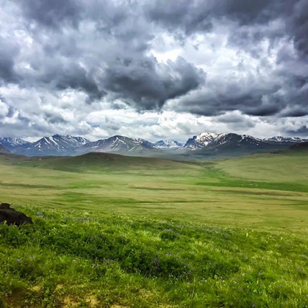 deosai plain skardu