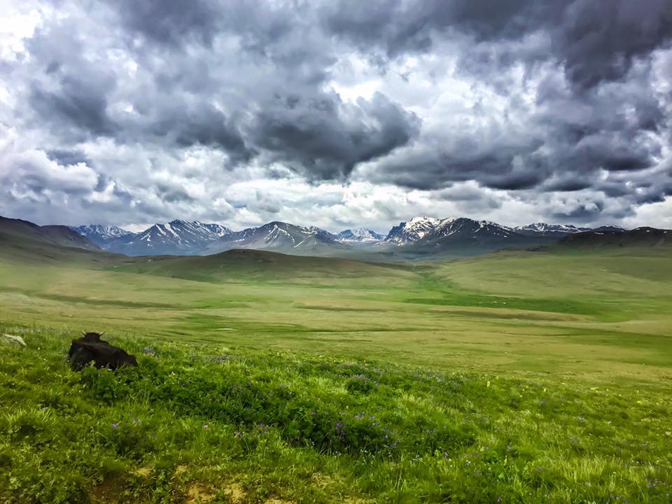 deosai plain skardu