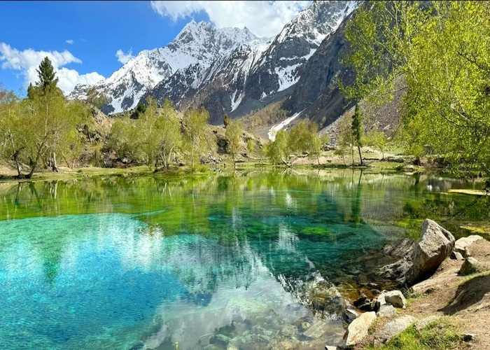 Naltar Valley Naltar Valley