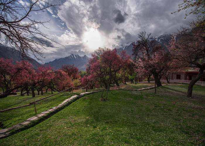 Royal Garden Altit Village Royal Garden Altit Village