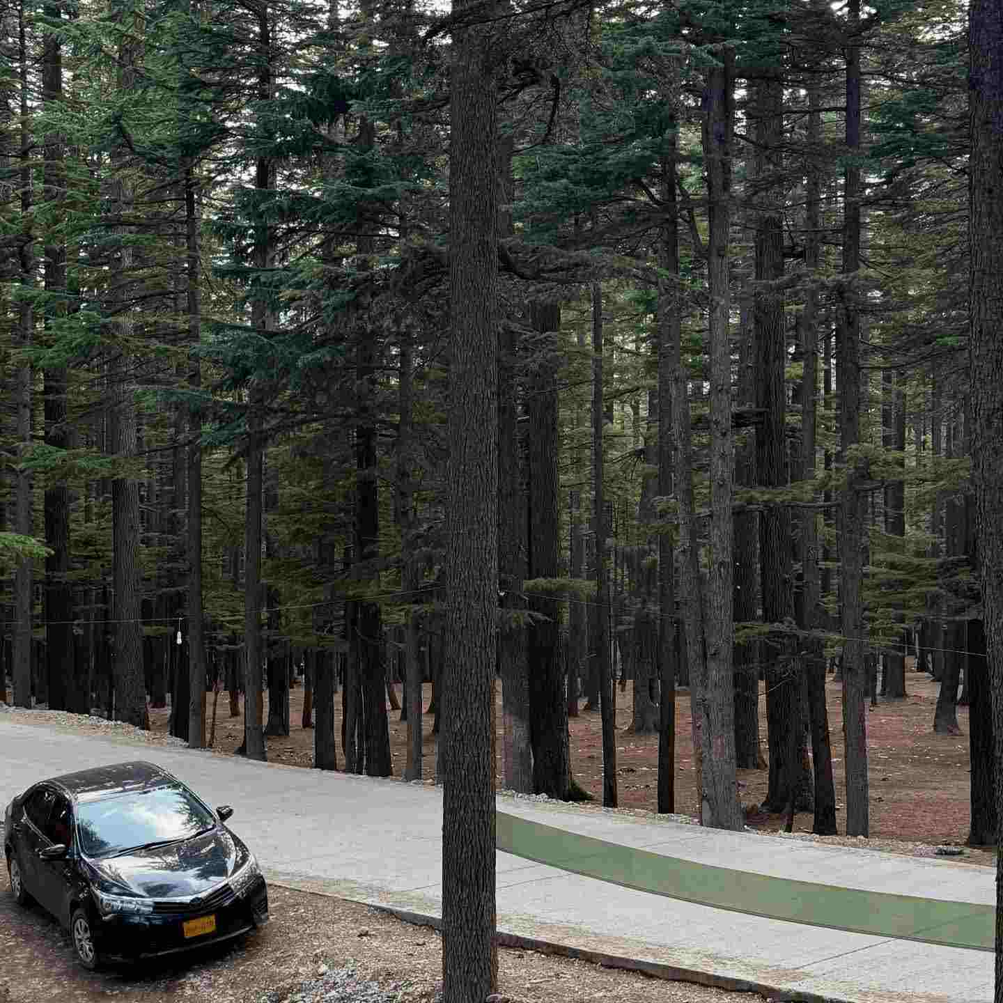 Ushu Forest Ushu Forest